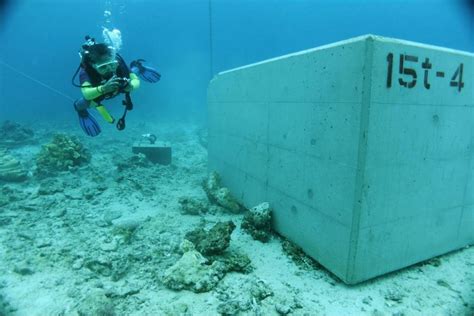 The Japan Times Okinawa Base Activists Report Coral Damage At Henoko