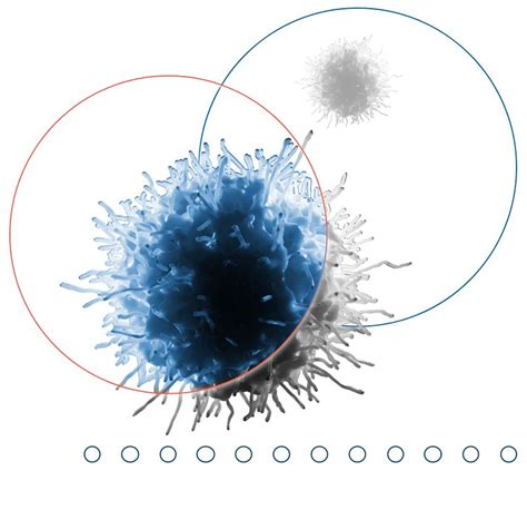 Pipeline and clinical trials for Pelareorep | Oncolytics Biotech