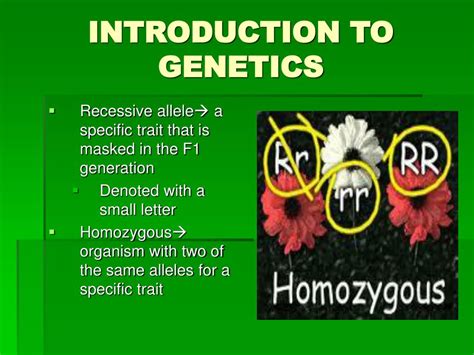 Ppt Introduction To Genetics Powerpoint Presentation Free Download