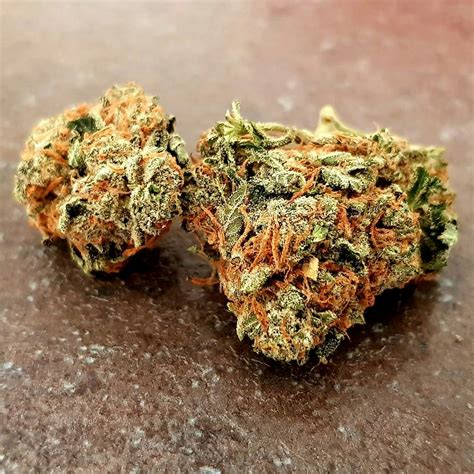 Stardawg Aka Stardog Weed Strain Information Leafly