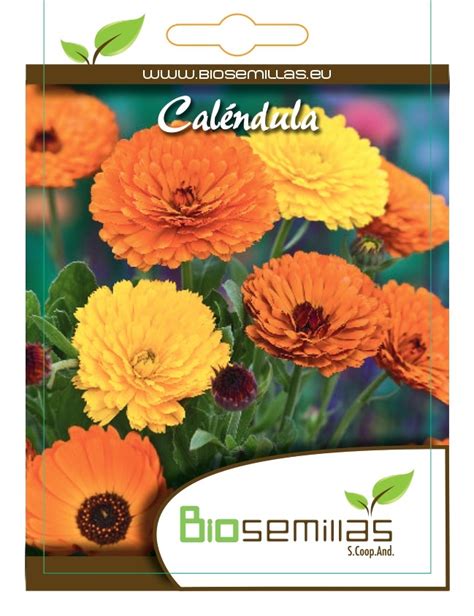 Calendula Biosemillas Almería Coop