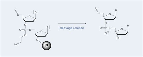 emp BIOTECH GmbH | Oligonucleotide Synthesis Reagents