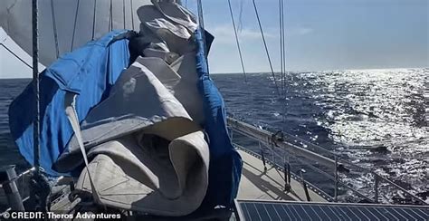 Brit Eco Explorer And Husband S Yacht Smashed By Tanker Or Capsized