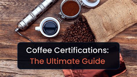 Coffee Beans Certifications The Ultimate Guide