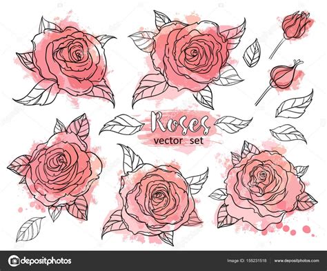 Rose Bouquet Drawing at GetDrawings | Free download