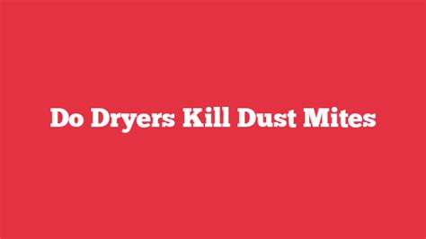 Do Dryers Kill Dust Mites? - Laundry FAQs