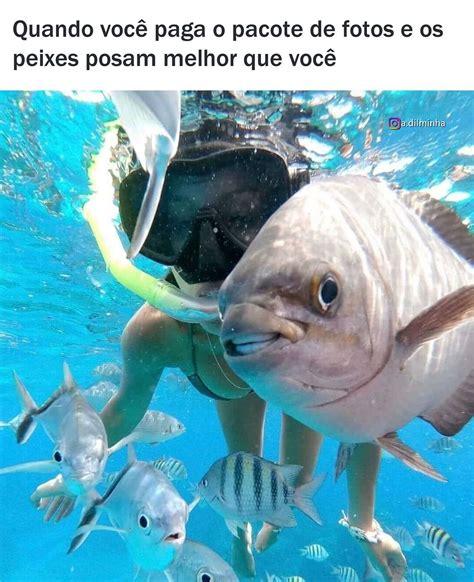 Quando você paga o pacote de fotos e os peixes posam melhor que você