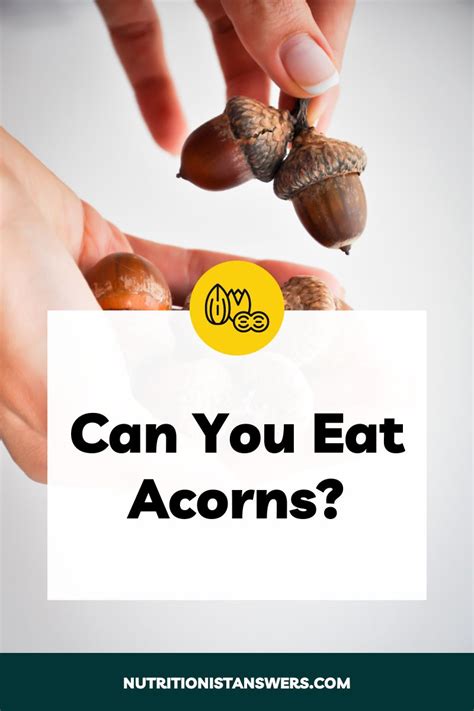 Can You Eat Acorns? | Nutritionist Answers