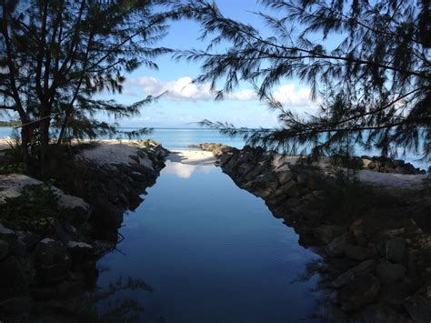 Elevation of Saint John's, St John's, Antigua and Barbuda - Topographic