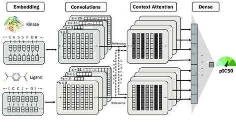 The Bimodal Multiscale Convolutional Attention Model Bimca