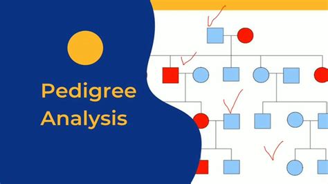 Principle Of Inheritance And Variations Lecture 12 Pedigree Analysis By