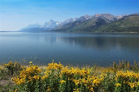 16 Best Things To Do In Jackson Hole Wy Map And Tips