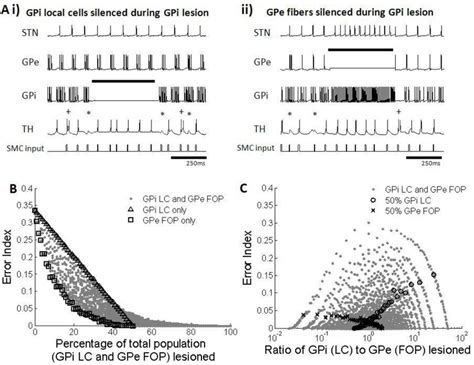 A Firing Patterns Of Subthalmic Nucleus STN Globus Pallidus