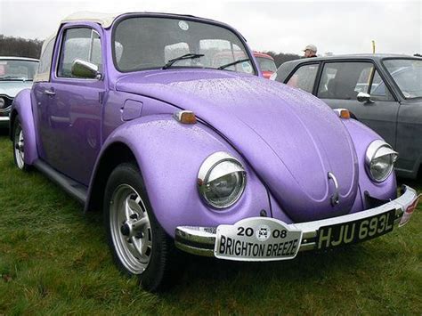 Vw Beetle Purple