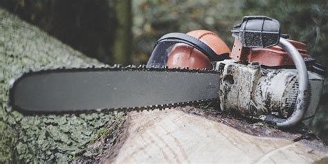 Best Echo Chainsaw Professional Power And Reliability