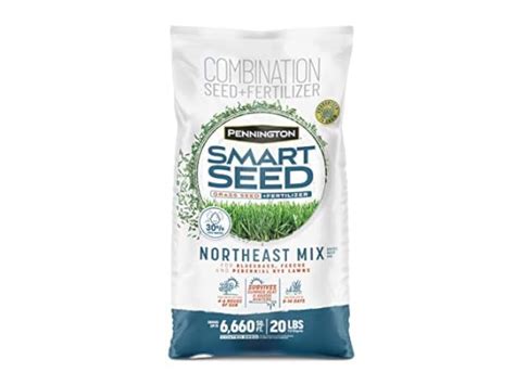 The 10 Best Drought Grass Seed of 2024 (Reviews) - FindThisBest