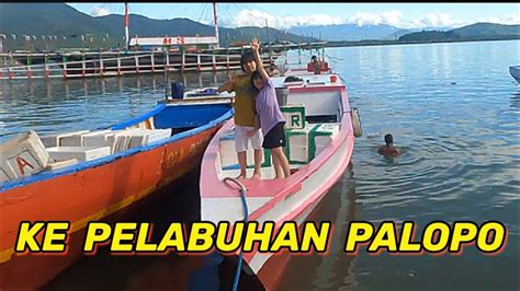 Pelelangan Ikan Di Palopo Youtube