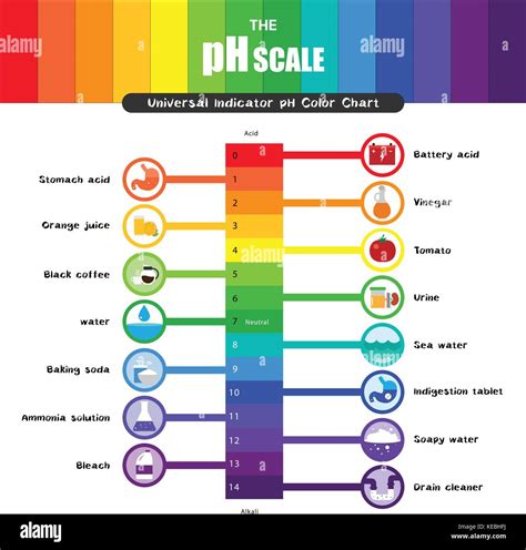 The Ph Scale Universal Indicator Ph Color Chart Diagram Acidic Stock