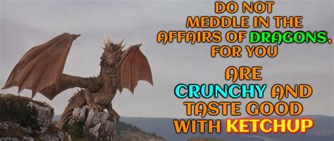 Dragons Love Ketchup Imgflip