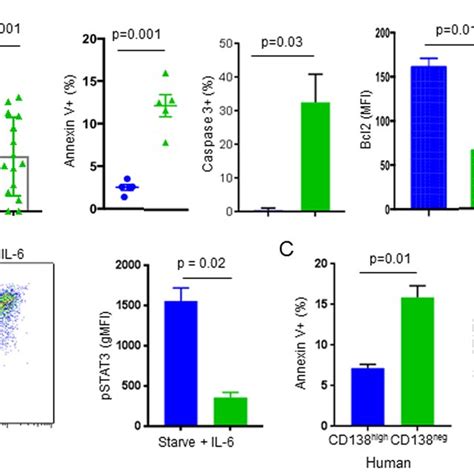 CD138 Expression Correlates With Cell Survival Proliferation And IL 6