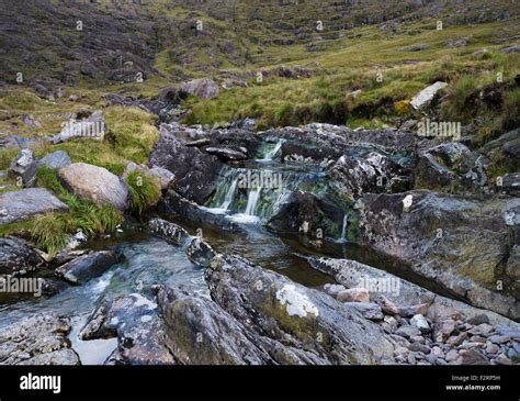 Mountain Stream On Hungry Hill In The Caha Mountains Of Beara County