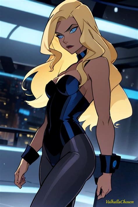 Black Canary Justice League Unlimited by ValhallaChosen on DeviantArt