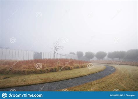 Fall Colors and Fog at the NC Museum of Art in Raleigh Stock Image - Image of foggy, ncma: 260005593