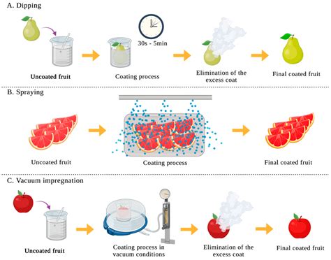 4 Key Biodegradable Packaging Materials For Food Beverages