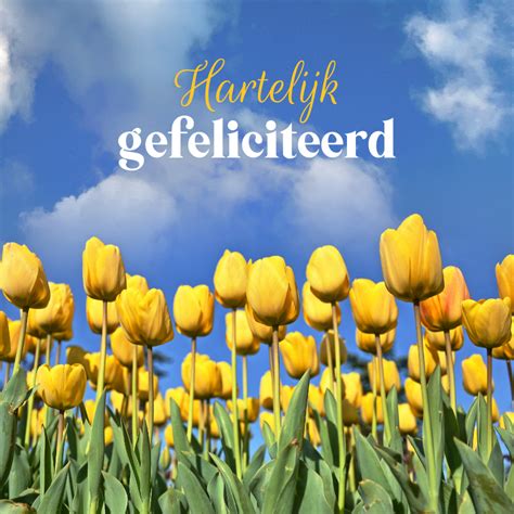 Verjaardagskaart Tulpen Veld Geel Blauw Kaartje2go