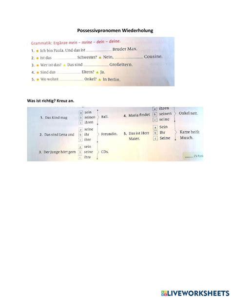 Possessivpronomen Wiederholung Online Exercise For Live Worksheets