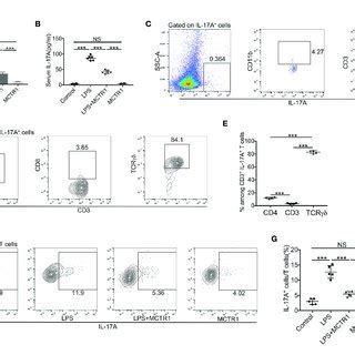 Mctr Attenuated Il A Production And Il A Cells In Lps Induced