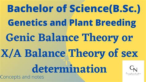 Genic Balance Theory For Sex Determination X A Balance Theory