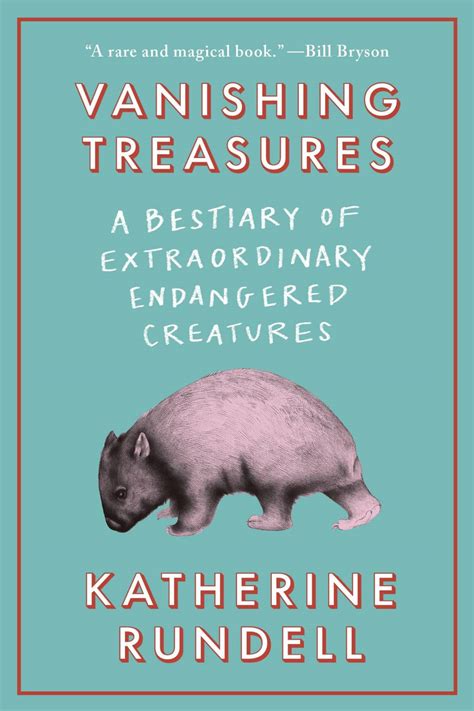 book review vanishing treasures  katherine rundell kqed