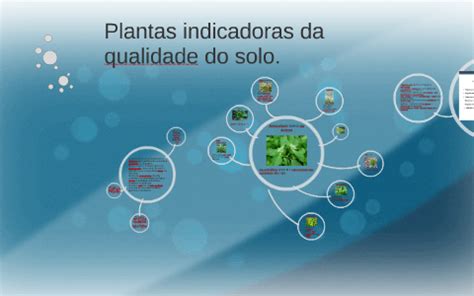 Plantas Indicadoras Da Qualidade Do Solo By Gabrielli Golyjewski On Prezi