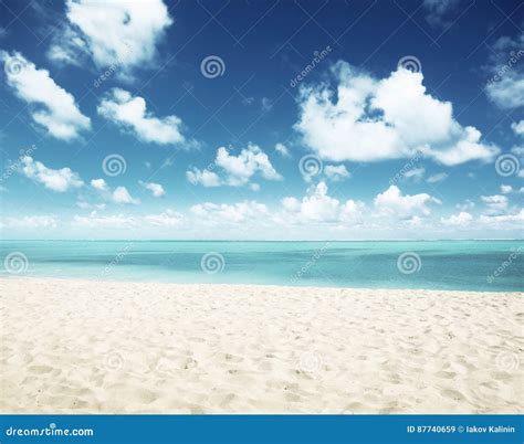 Sunny tropical beach stock image. Image of scenic, island - 87740659