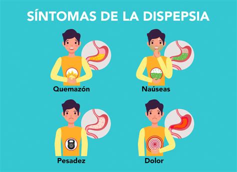 Qu Es La Dispepsia Qu Enfermedades Permite Diagnosticar