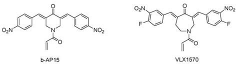 Advances In The Development Ubiquitin Specific Peptidase Usp Inhibitors