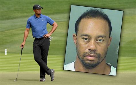 Tiger Woods Arrested For Dui Davidazizipersonalinjury