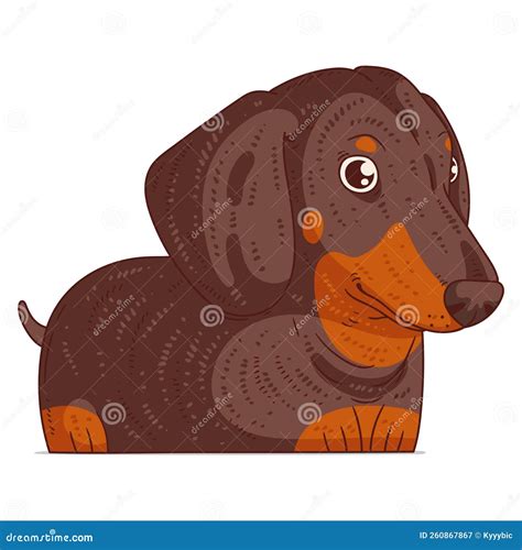 A Dachshund Isolated Vector Illustration Funny Cartoon Picture Of A