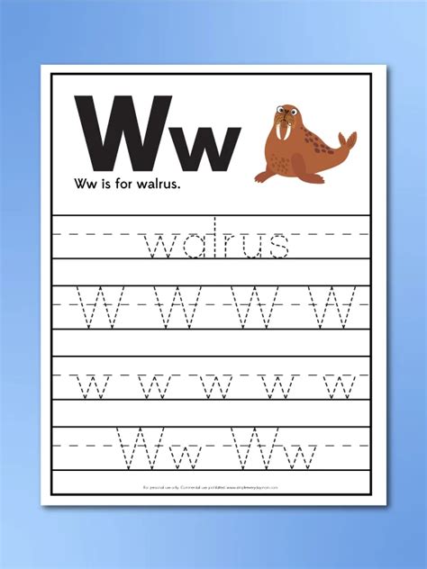 Walrus Worksheets For Kids [Free Printable]