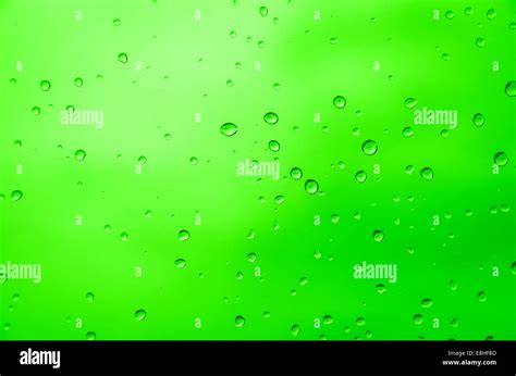 drop water  green background stock photo alamy