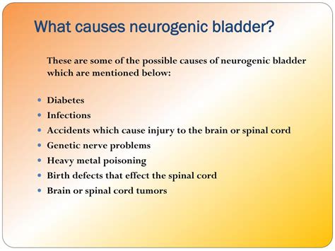 Ppt Neurogenic Bladder Causes Symptoms Daignosis Prevention And | The ...