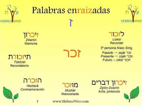 La Letra Zain English To Hebrew Biblical Hebrew Vocabulary