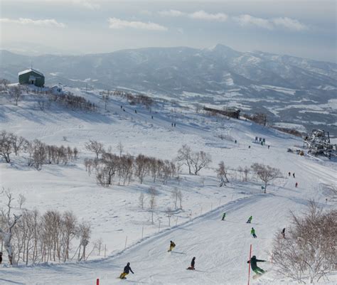 Welcome To The Ultracool Ski In Ski Out Destination In Niseko The Green Leaf Niseko Village