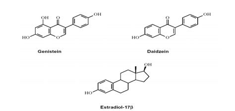 Structural Comparison Between Genistein Estradiol And Daidzein