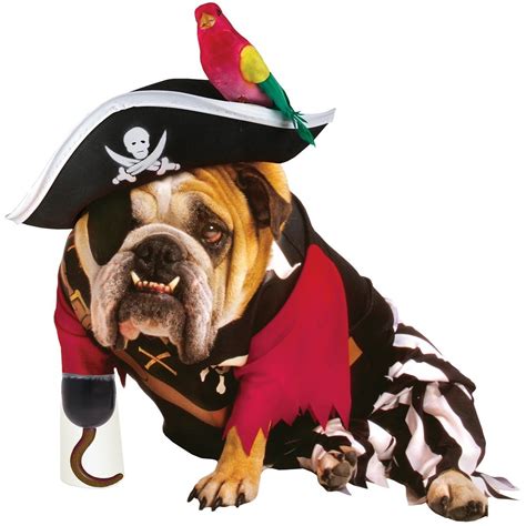 20 Absolutely Amazing Dog Halloween Costumes