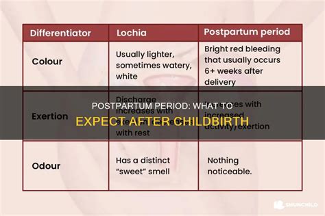 Postpartum Period: What To Expect After Childbirth | ShunChild