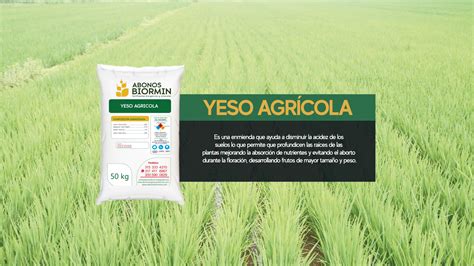 QUÉ ES EL YESO AGRICOLA Abonos Biormin