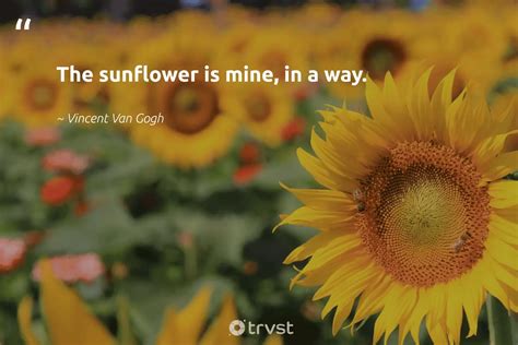 van gogh quotes about sunflowers - Ola Willett