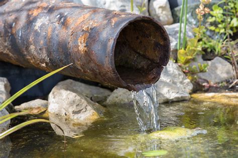 wasserzufuhr aus regen oder grundwasser biotopgarten